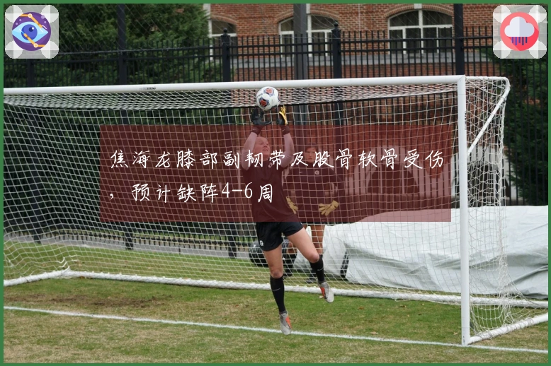 焦海龙膝部副韧带及股骨软骨受伤，预计缺阵4-6周