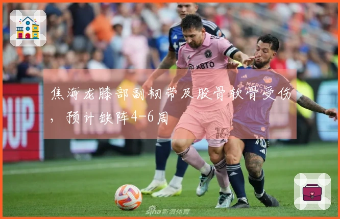 焦海龙膝部副韧带及股骨软骨受伤，预计缺阵4-6周