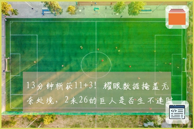 13分钟斩获11+3！耀眼数据掩盖无奈处境，2米26的巨人是否生不逢时？